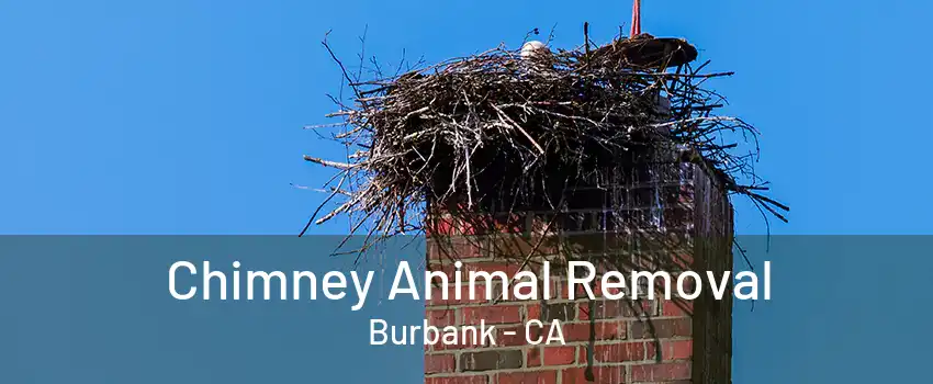 Chimney Animal Removal Burbank - CA