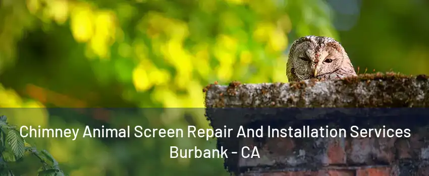 Chimney Animal Screen Repair And Installation Services Burbank - CA