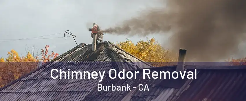 Chimney Odor Removal Burbank - CA