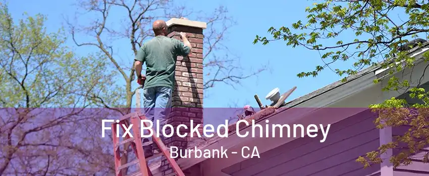 Fix Blocked Chimney Burbank - CA