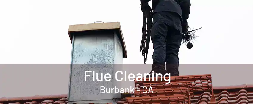 Flue Cleaning Burbank - CA