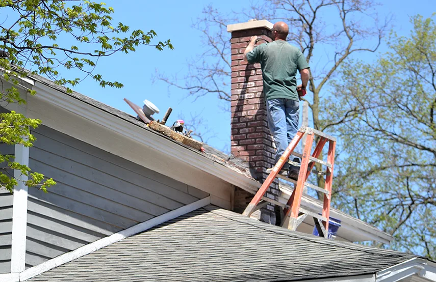 Chimney & Fireplace Inspections Services in Burbank, CA