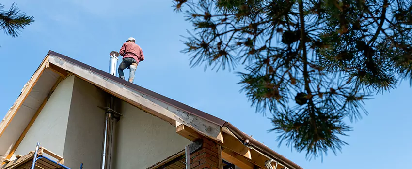 Birds Removal Contractors from Chimney in Burbank, CA