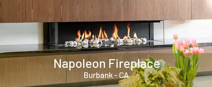 Napoleon Fireplace Burbank - CA